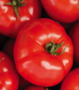 Lycopene Protects Against Toxins